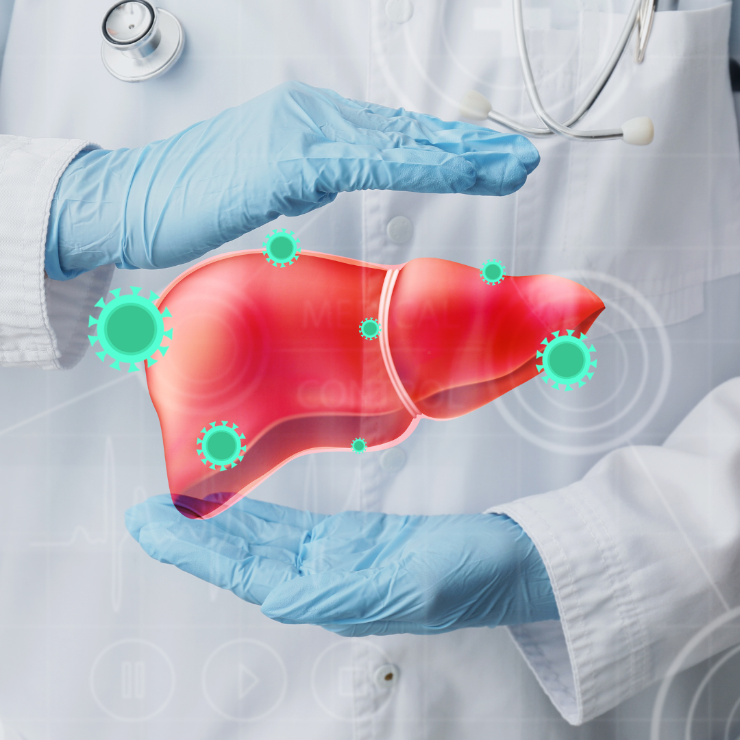 LIVER IMG1